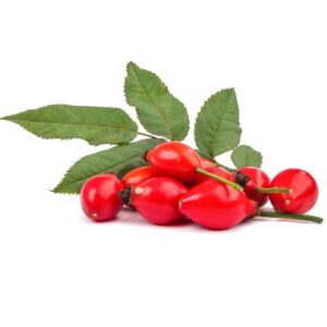 Rosehip Oil Moksha Lifestyle Products