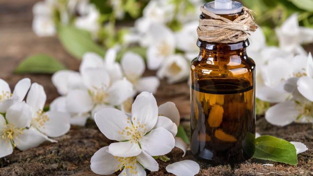 Best Fragrance Oils For Perfume Making