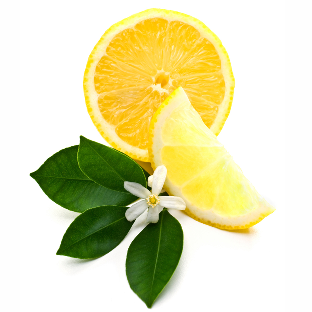 lemon-blossom-fragrance-oil-moksha-lifestyle-products