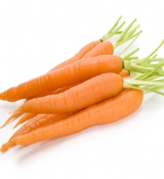 carrot-seed-oil-img