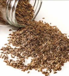 dill-seed-oil-img
