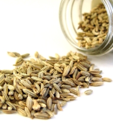 fennel-seed-oil-img