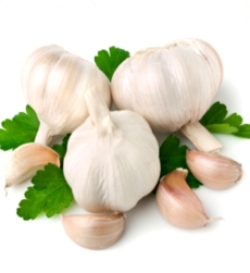 garlic-oil-img