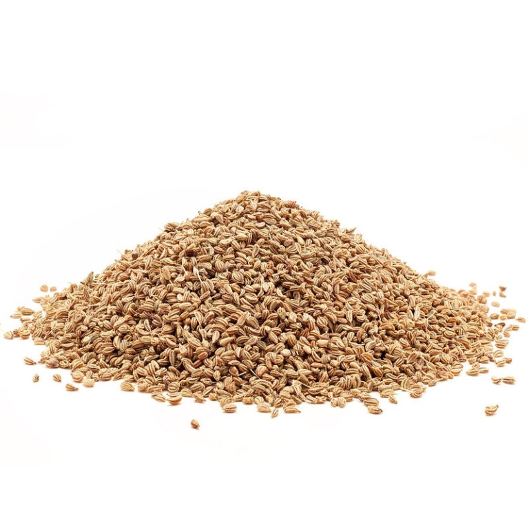 Ajowan Hydrosol Moksha Lifestyle Products