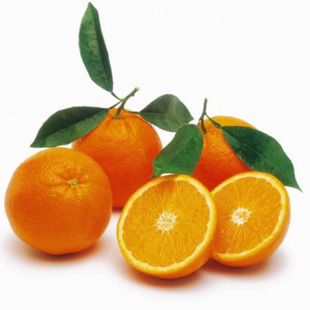 Orange vitamin. Апельсин. Апельсин на белом фоне. Апельсин для детей. Апельсин на прозрачном фоне.