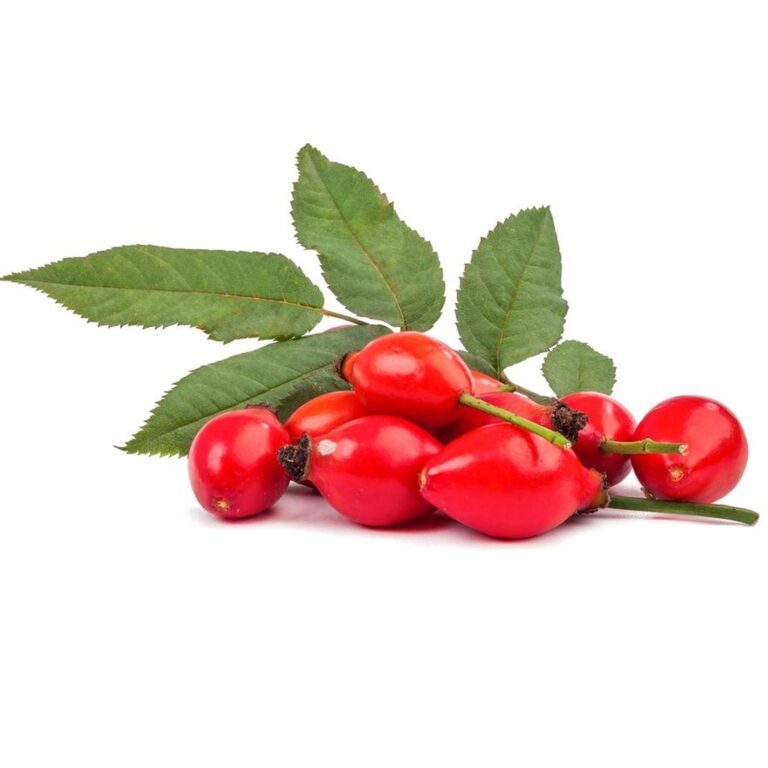 Rosehip Oil | Moksha Lifestyle Products