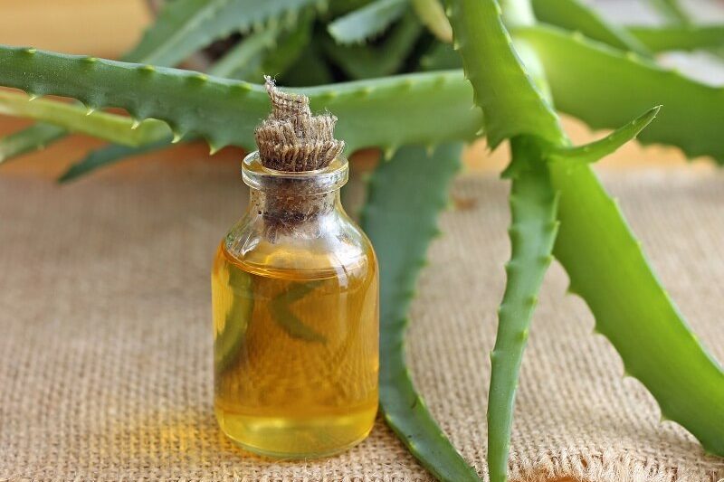 How To Make Aloe Vera Oil At Home? DIY Aloe Vera Oil Recipe At Home