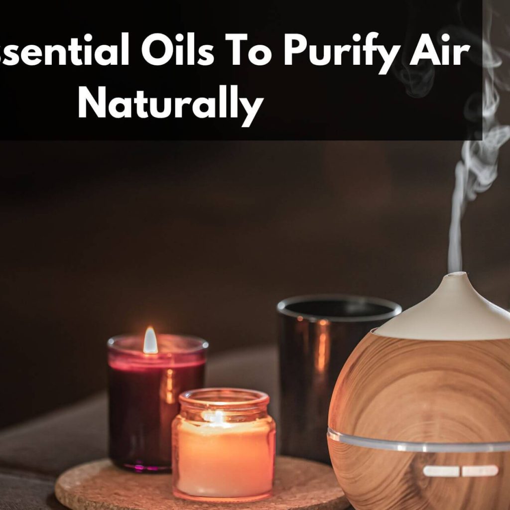 Best Essential Oils To Purify Air Naturally