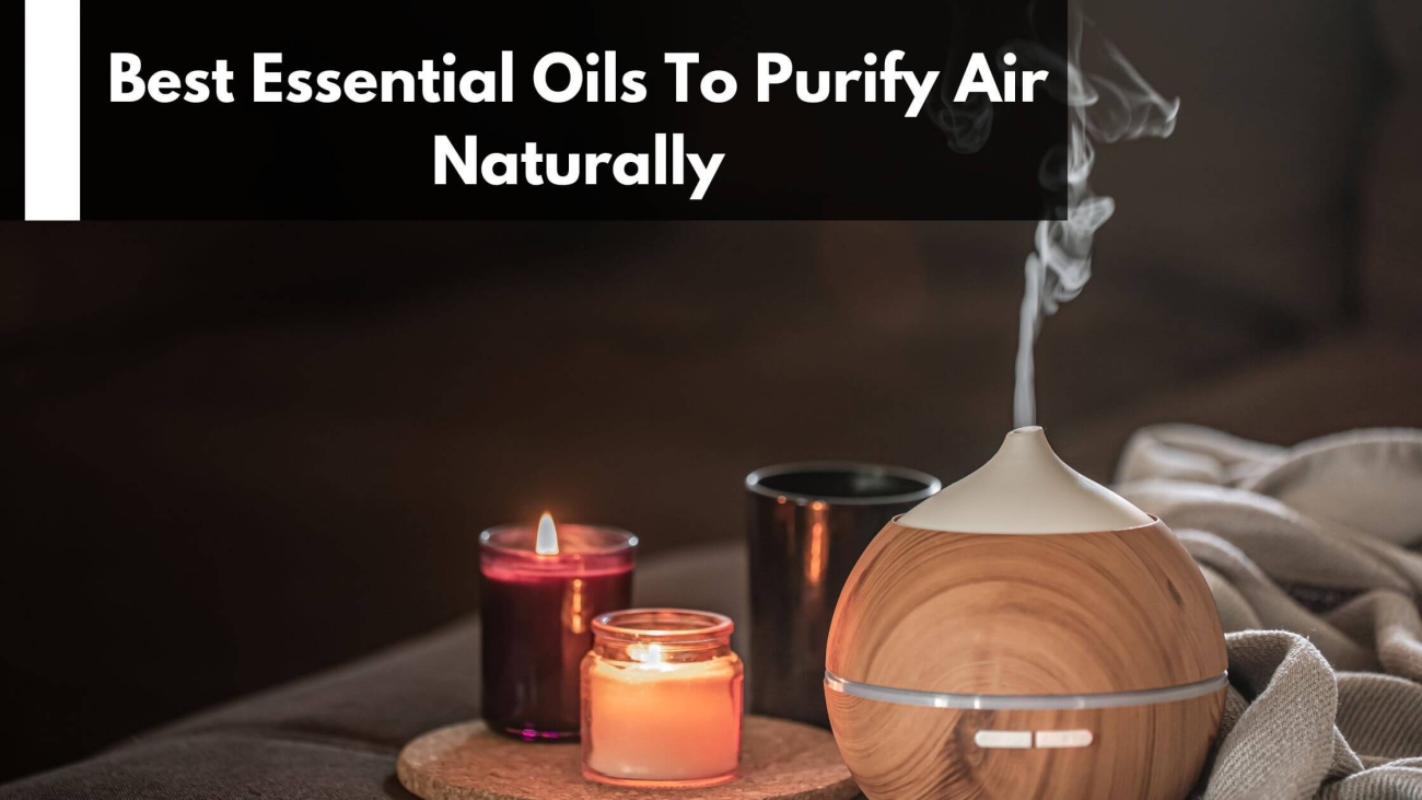 Best-Essential-Oils-To-Purify-Air-Naturally-1