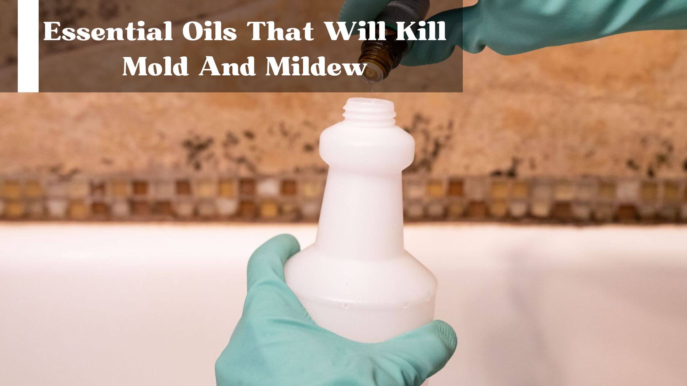 Can You Use Essential Oils For Mold Prevention & Treatment