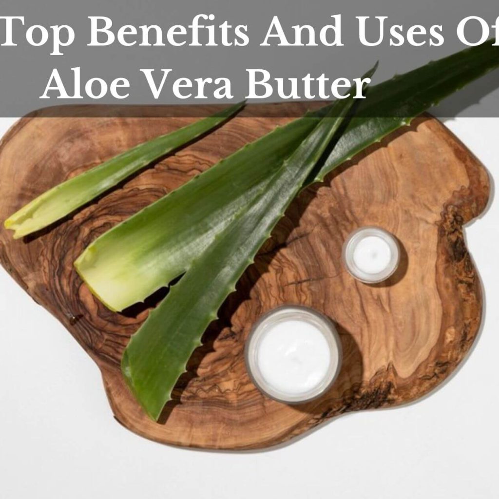 The Top Benefits And Uses Of Aloe Vera Butter