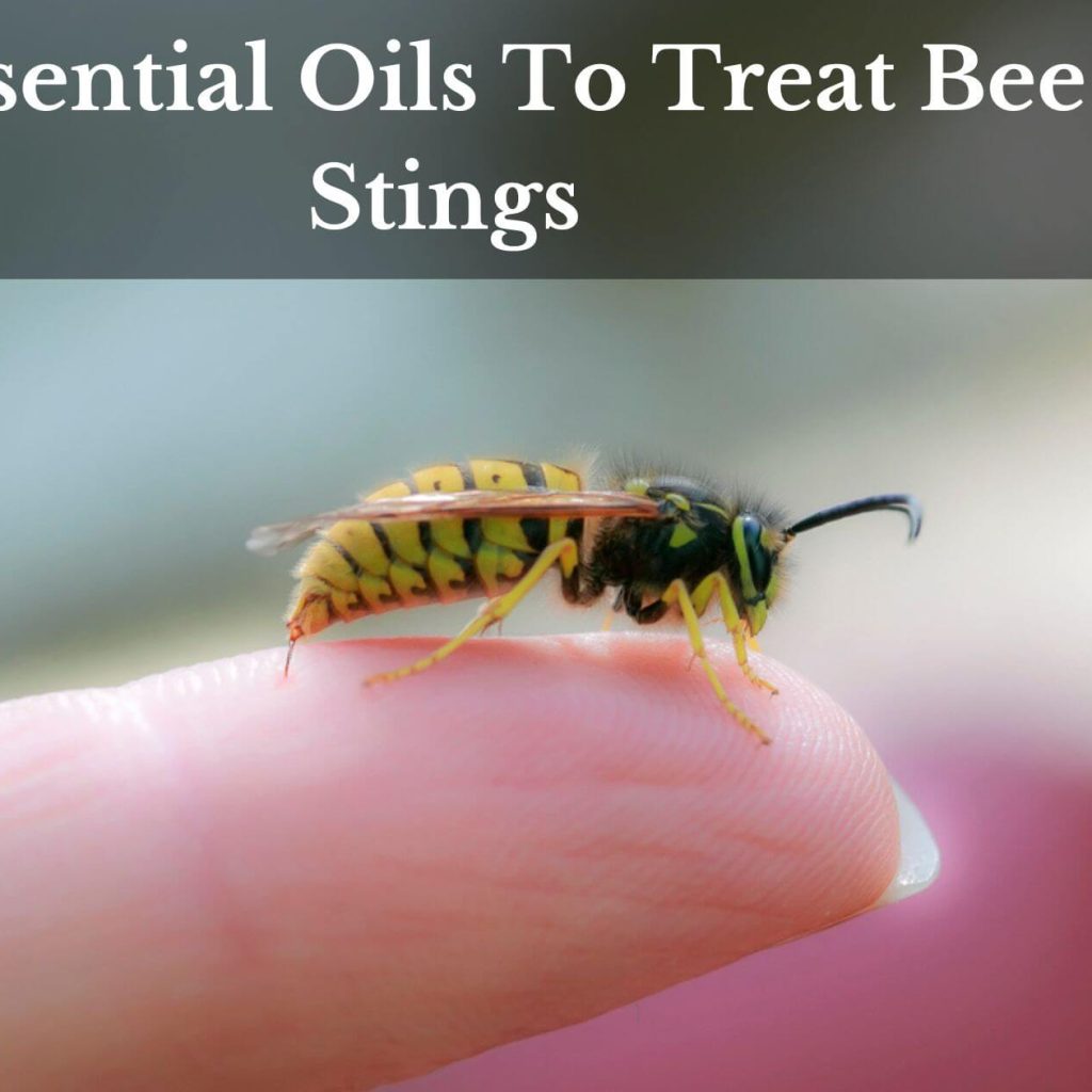 5 Essential Oils To Treat Bee Stings