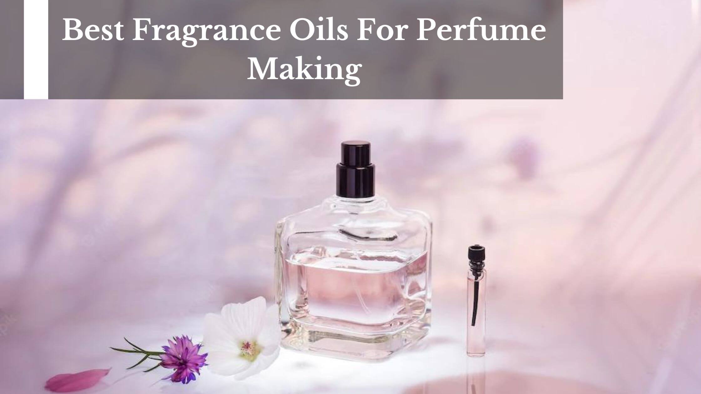 Best Fragrance Oils For Perfume Making