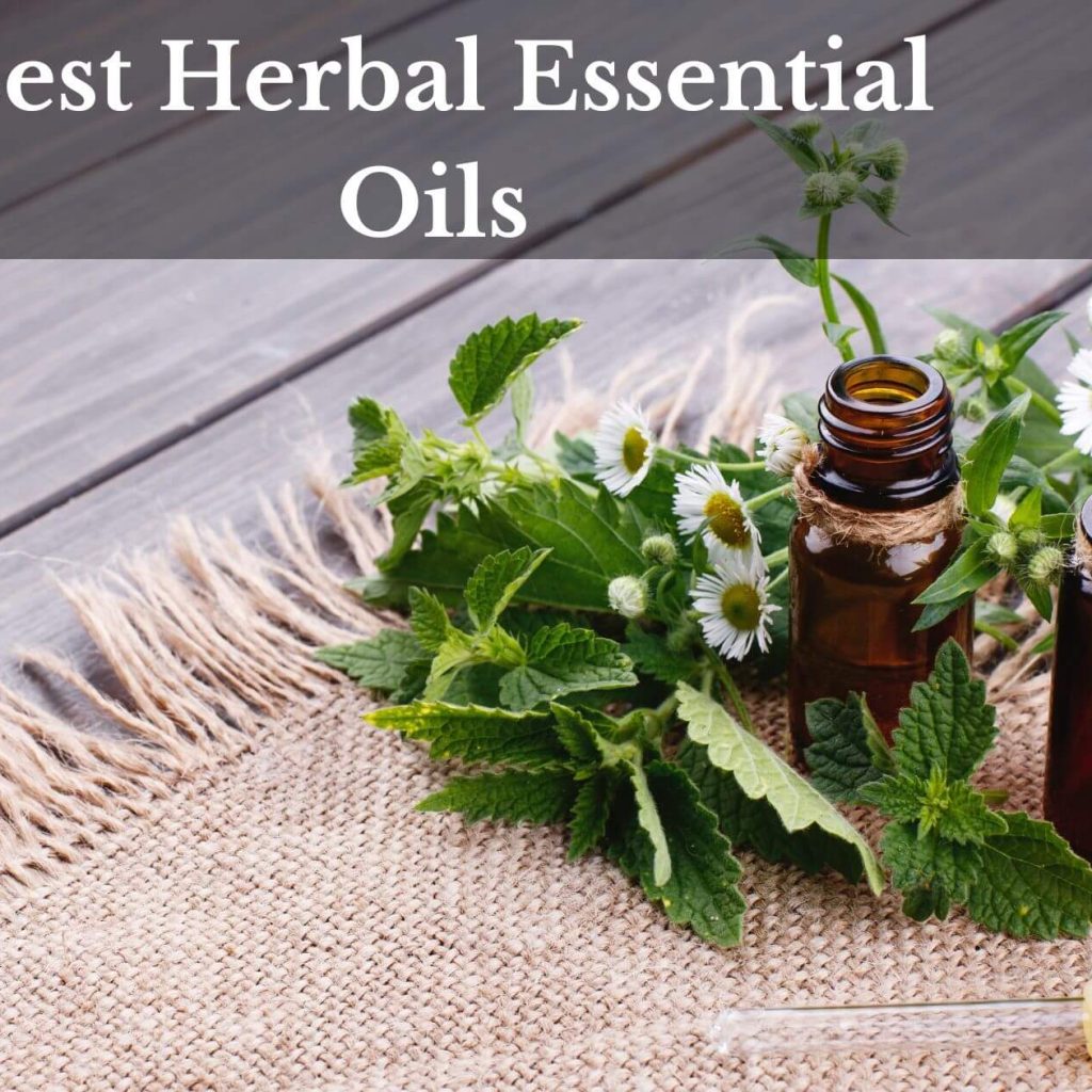 Best Herbal Essential Oils