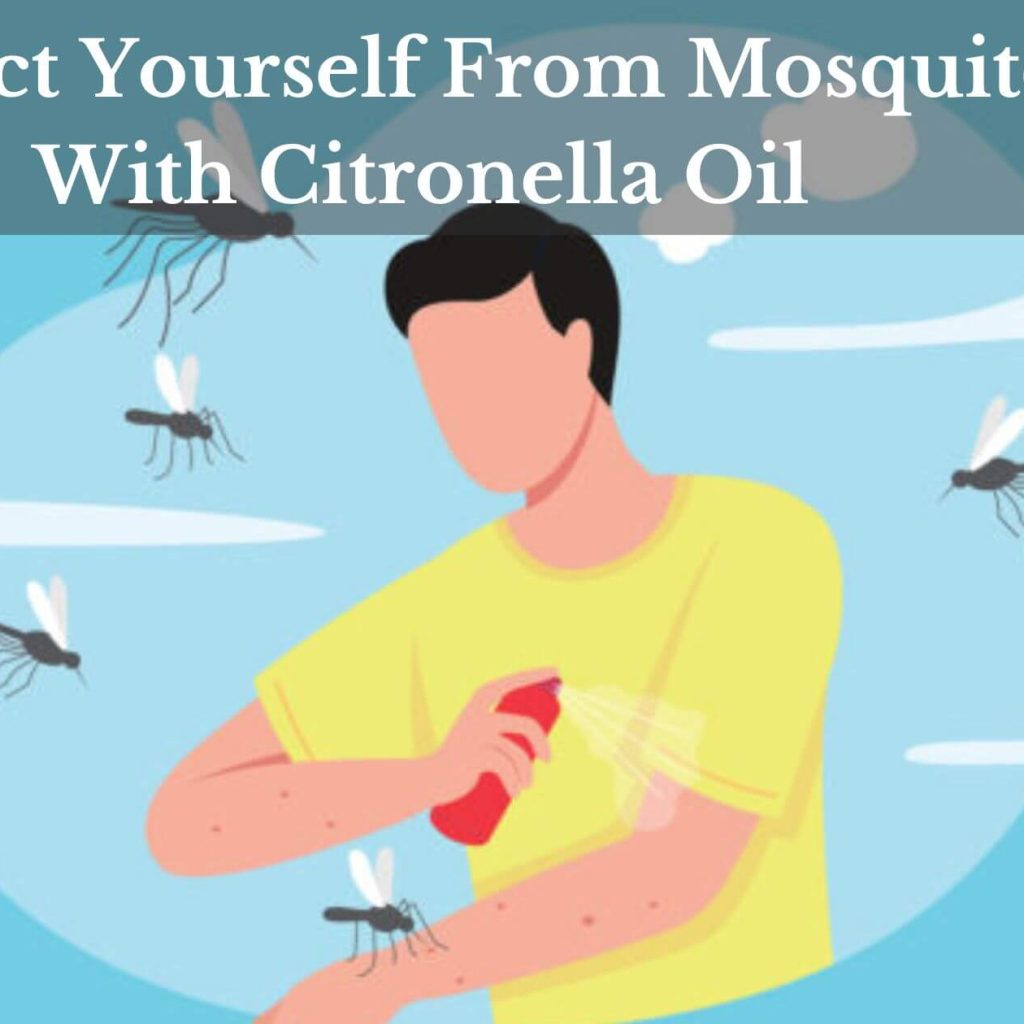 Protect Yourself From Mosquito With Citronella Oil
