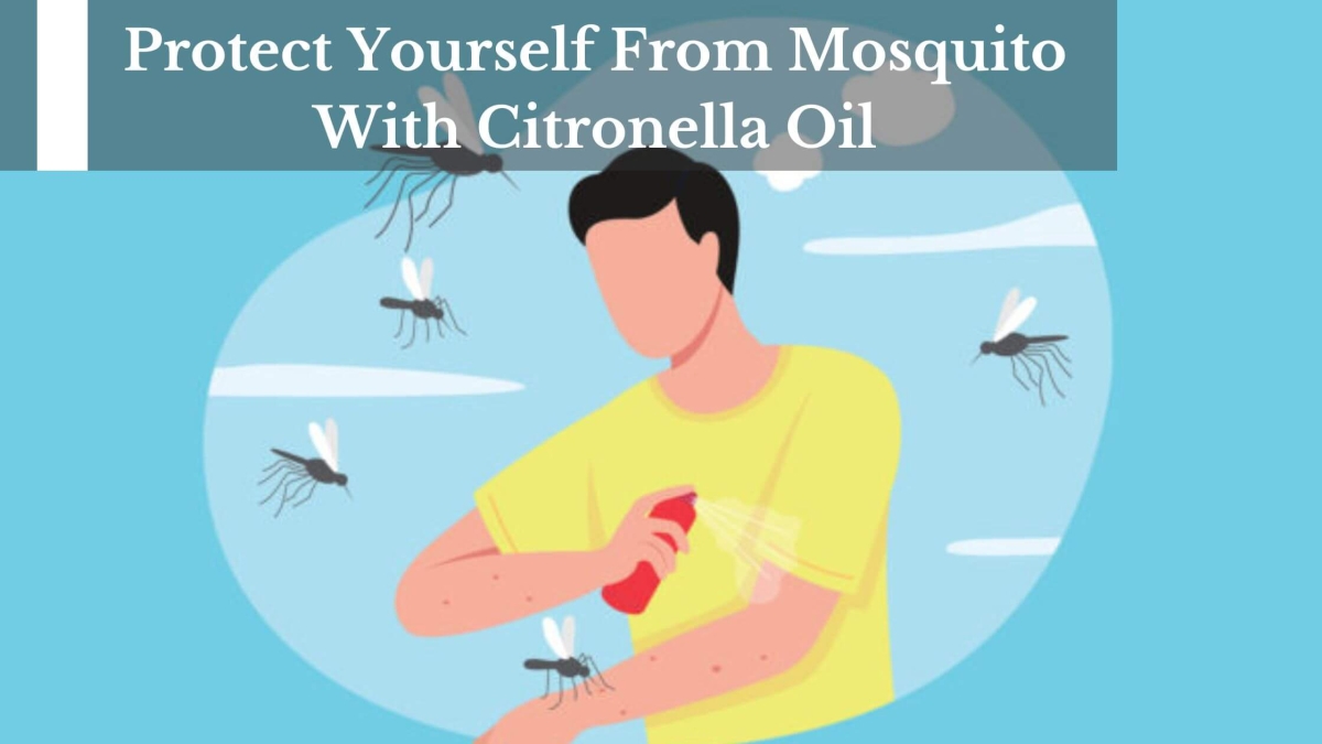 Protect-Yourself-From-Mosquito-With-Citronella-Oil-1
