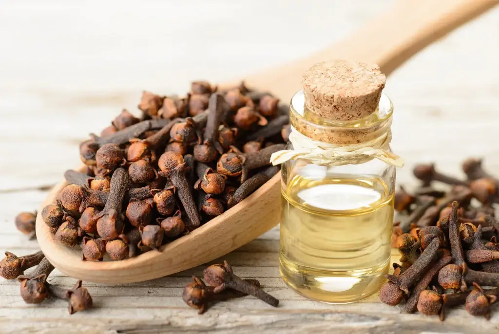 How To Use Clove Oil For Skin?