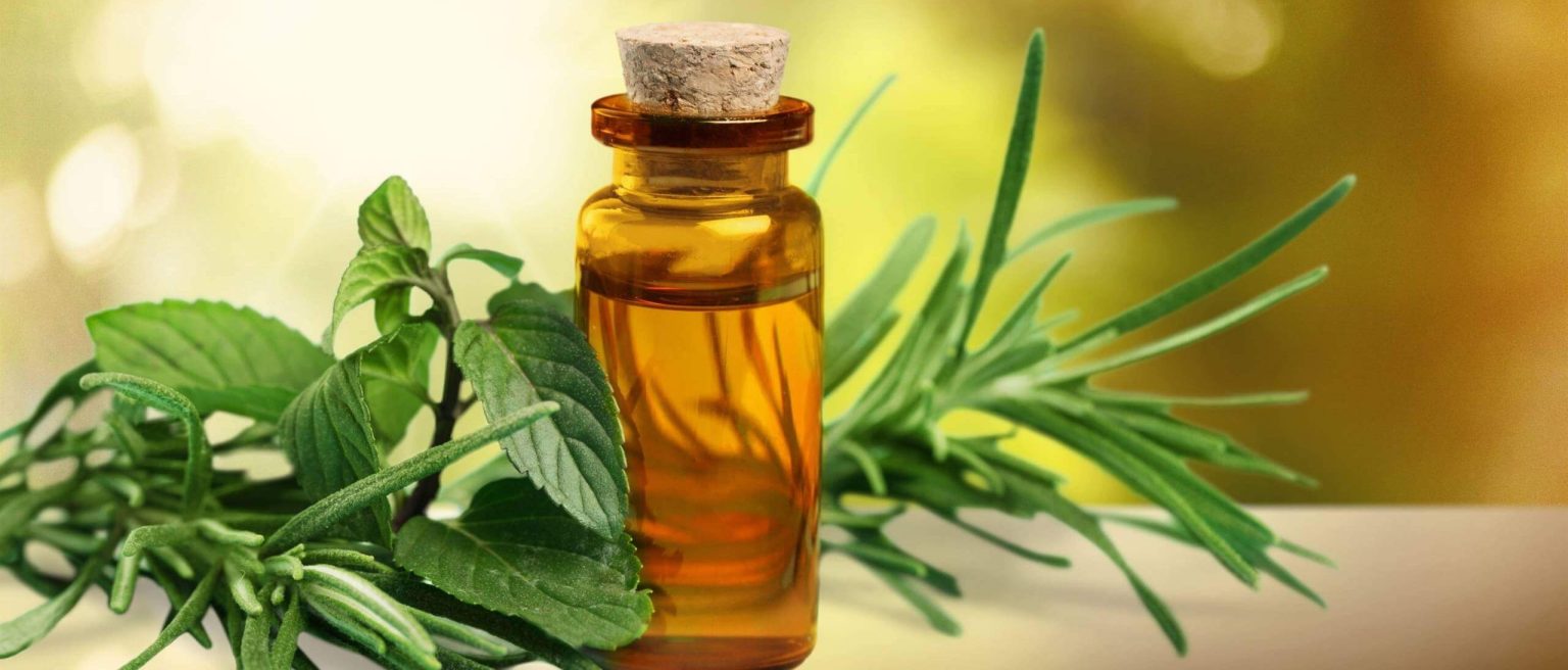 Elevate Your Sauna Experience With Essential Oils