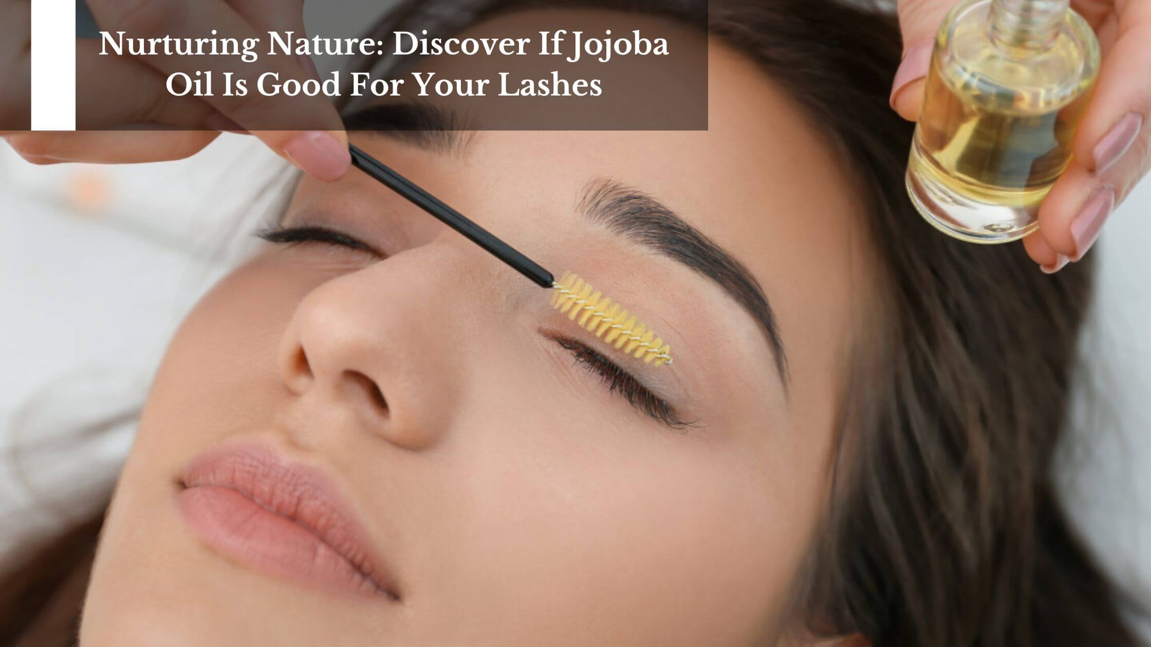 Argan Oil For Eyelashes: What You Need To Know – Moksha Lifestyle Products