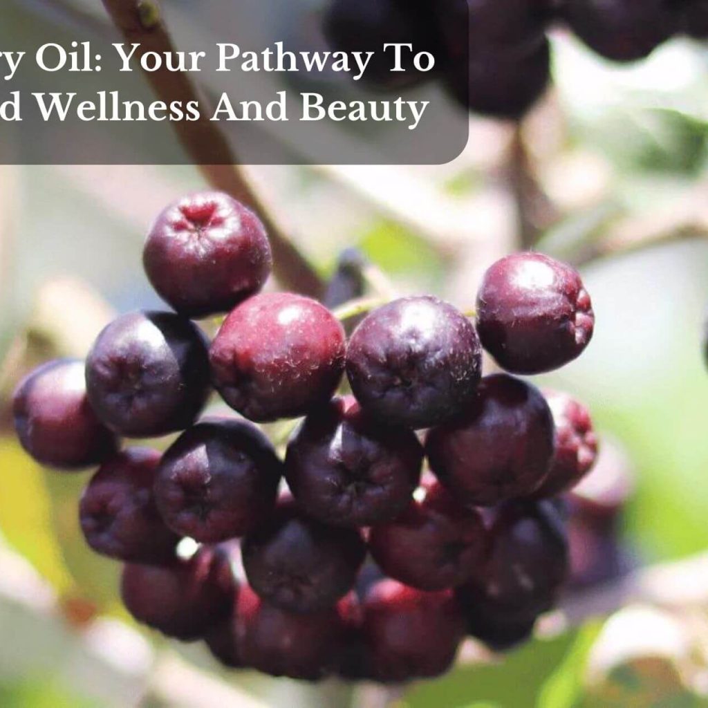 Acai Berry Oil: Your Pathway To Enhanced Wellness And Beauty