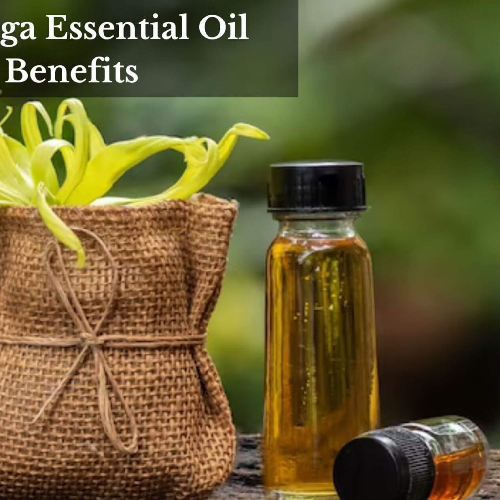 Cananga Essential Oil Benefits