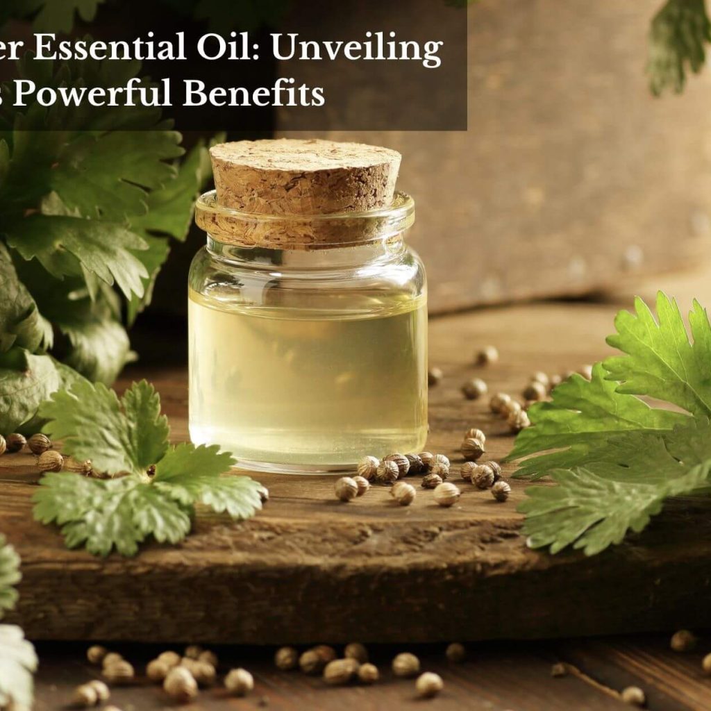 Coriander Essential Oil: Unveiling Its Powerful Benefits