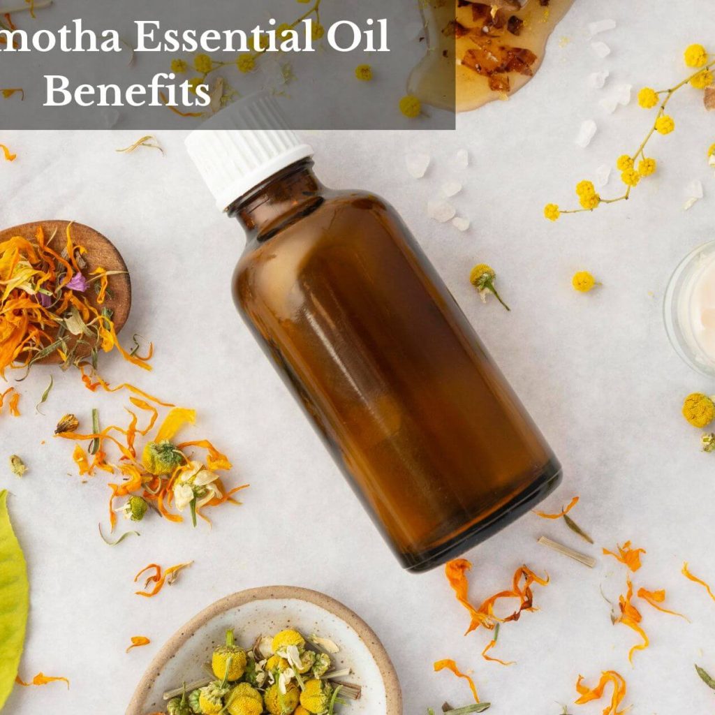 Nagarmotha Essential Oil Benefits