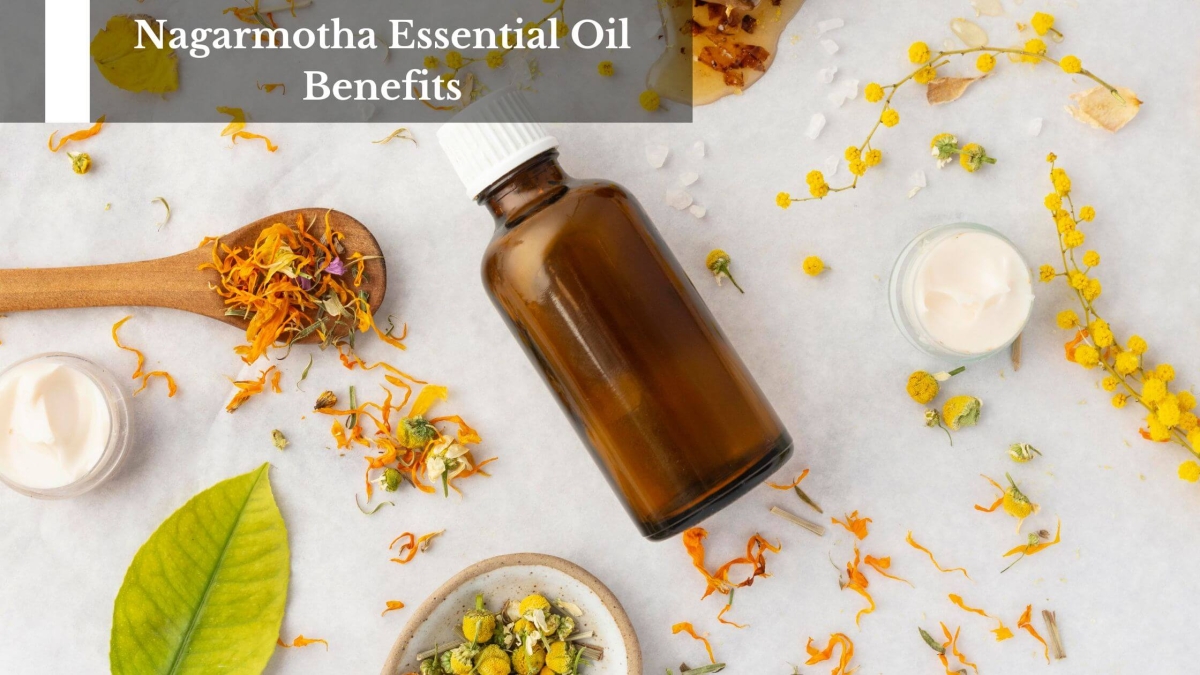 Nagarmotha-Essential-Oil-Benefits-1