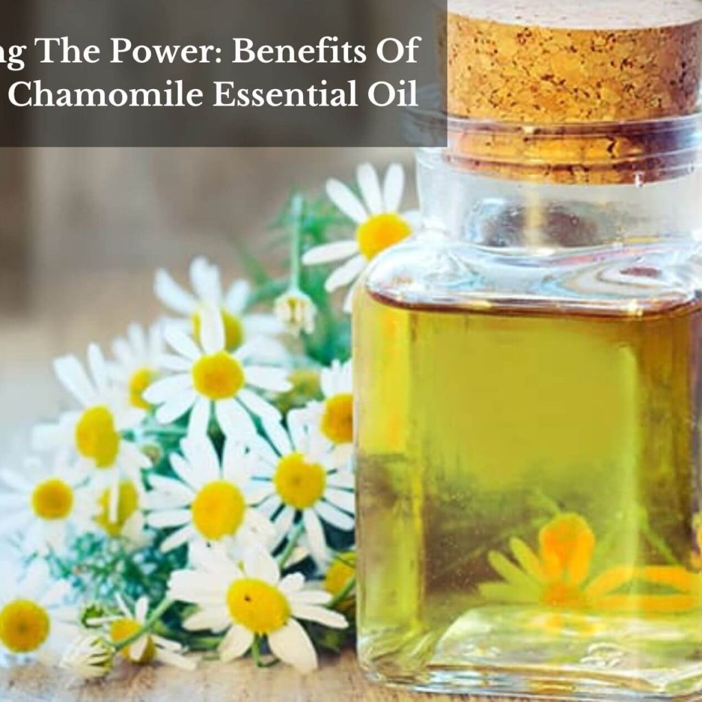 Revealing The Power: Benefits Of German Chamomile Essential Oil