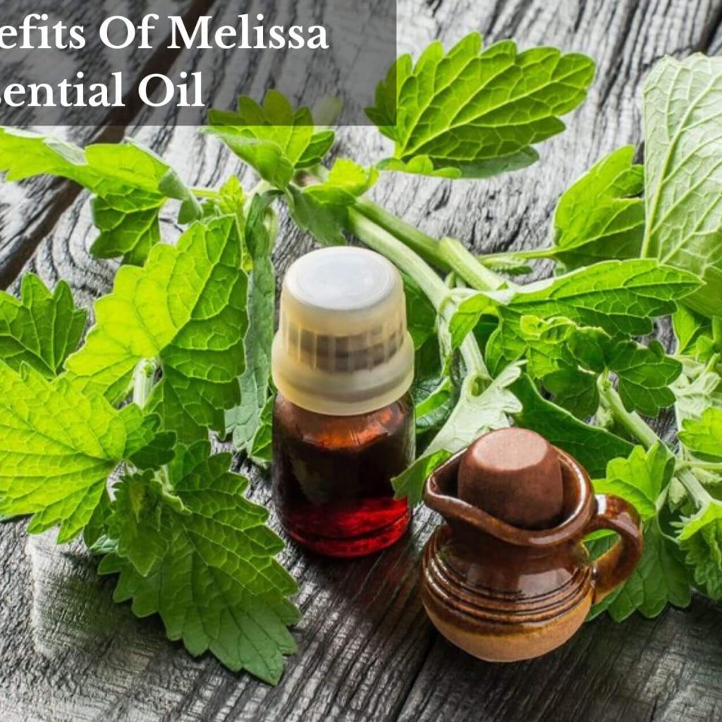 The Benefits Of Melissa Essential Oil