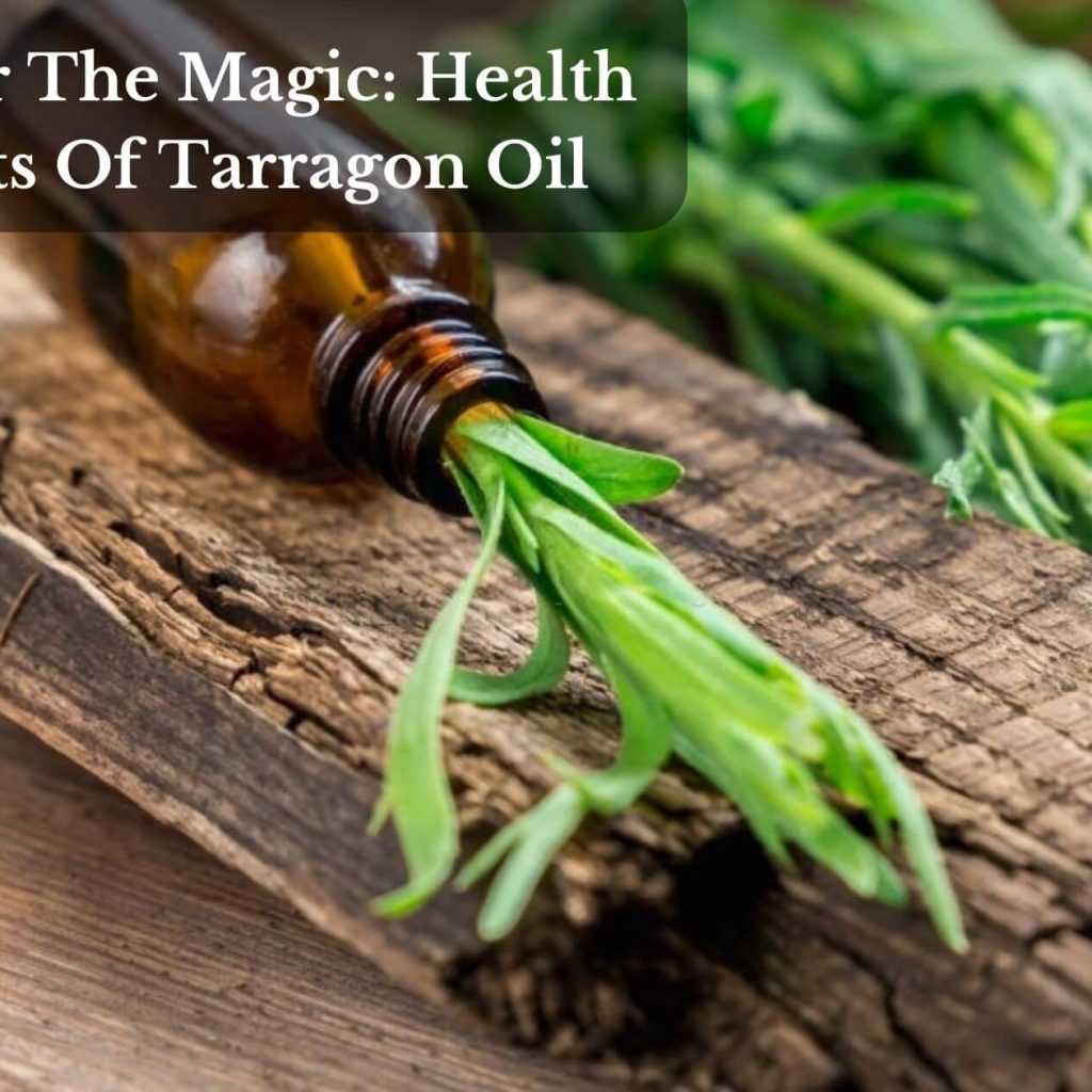 Discover The Magic: Health Benefits Of Tarragon Oil