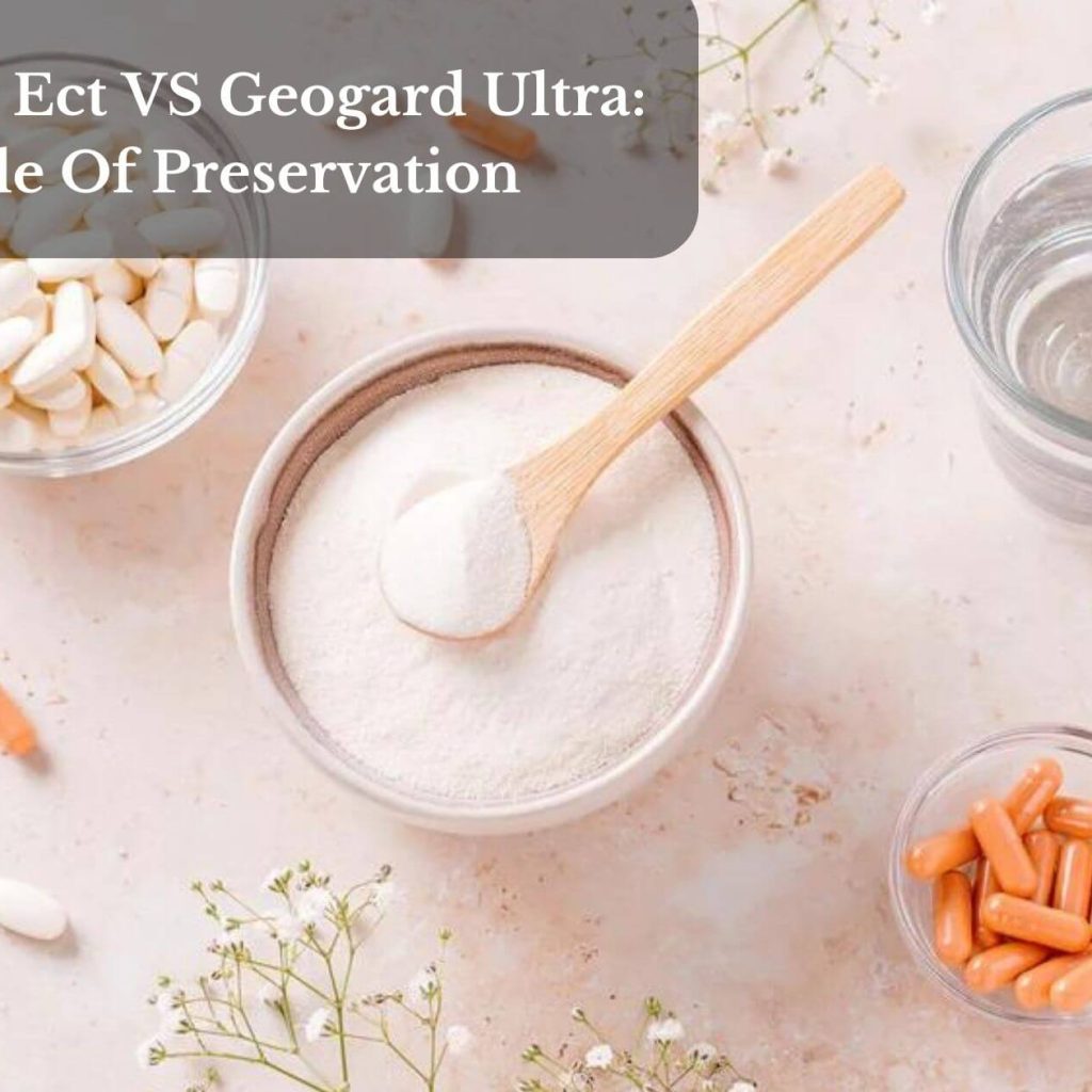 Geogard Ect VS Geogard Ultra: Battle Of Preservation