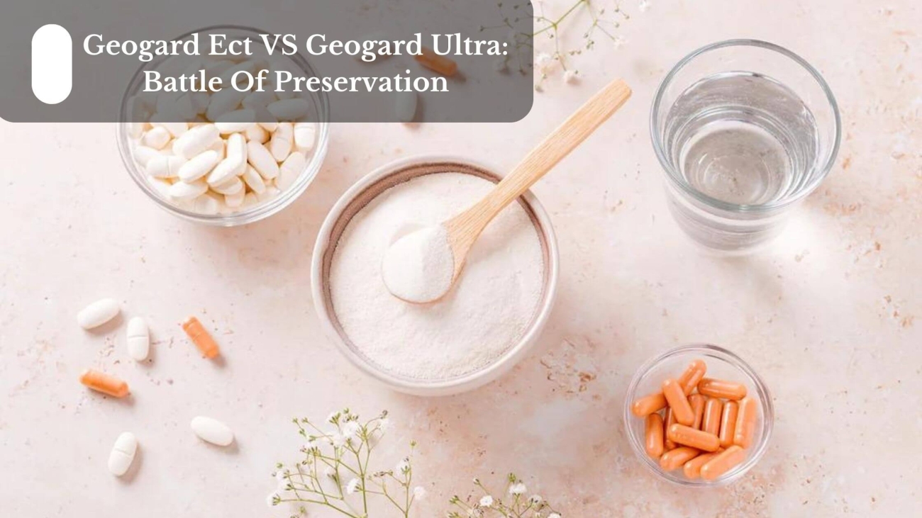 Geogard-Ect-VS-Geogard-Ultra-Battle-Of-Preservation-1