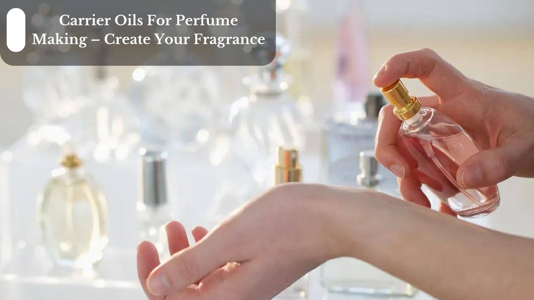 Best perfume carrier oil new arrivals