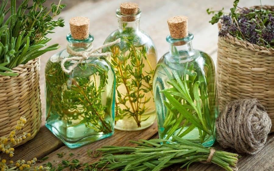How To Use Rosemary Oil For Plants?