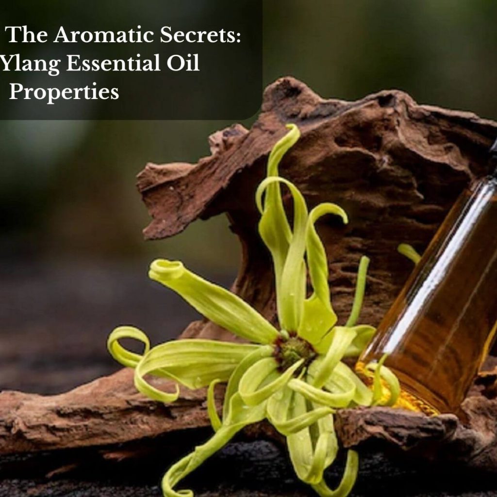 Unlocking The Aromatic Secrets: Ylang-Ylang Essential Oil Properties