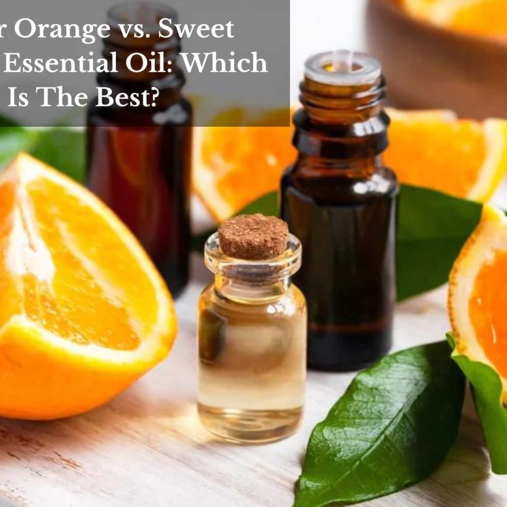 Bitter Orange vs. Sweet Orange Essential Oil: Which Is The Best?
