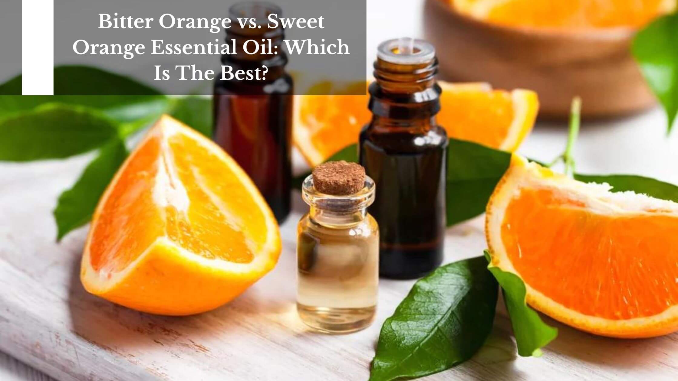 Bitter Orange vs. Sweet Orange Essential Oil: Which Is The Best?