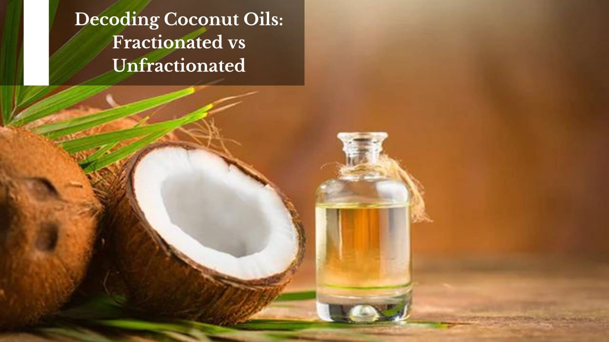 Decoding Coconut Oils: Fractionated vs Unfractionated