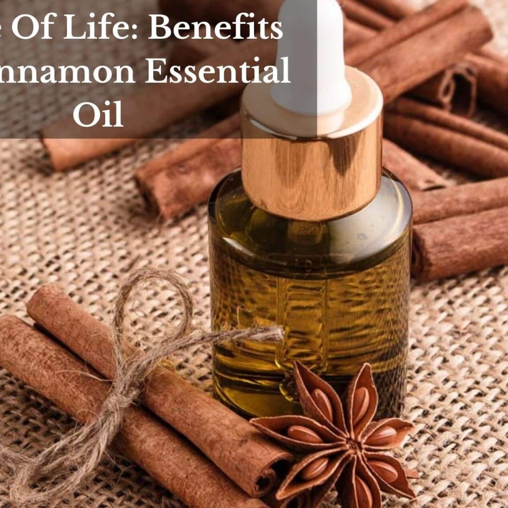 Spice Of Life: Benefits Of Cinnamon Essential Oil