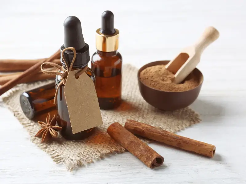 Cinnamon Essential Oil Uses: More Than Just A Spice – Moksha Lifestyle  Products