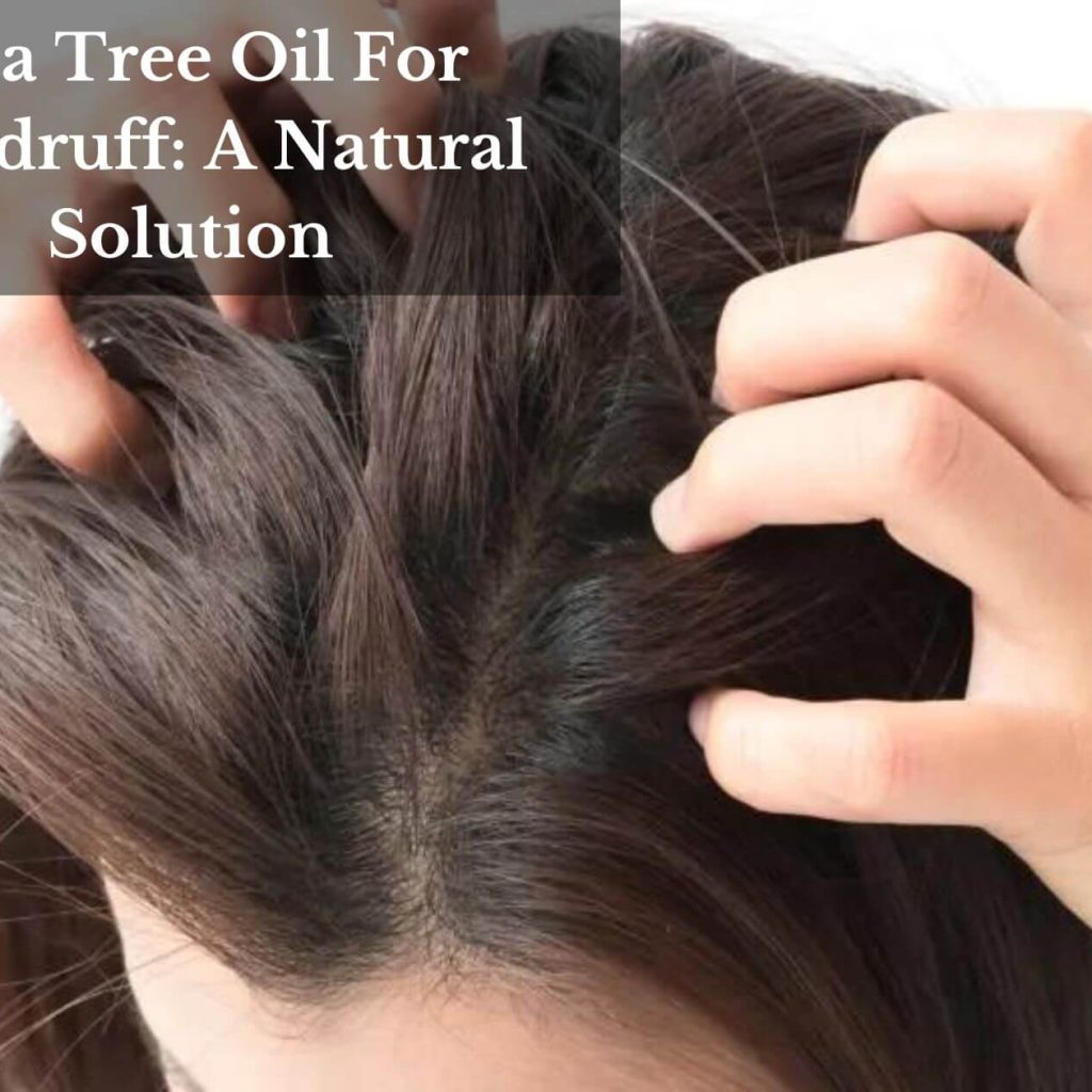 Tea Tree Oil For Dandruff: A Natural Solution