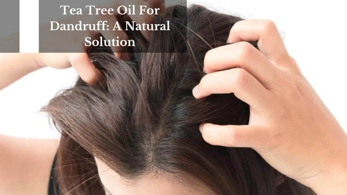 Tea-Tree-Oil-For-Dandruff-A-Natural-Solution-1
