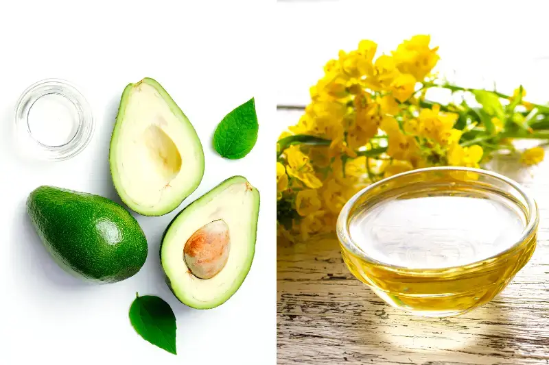 Avocado Oil vs Canola Oil. Which One Is Better?