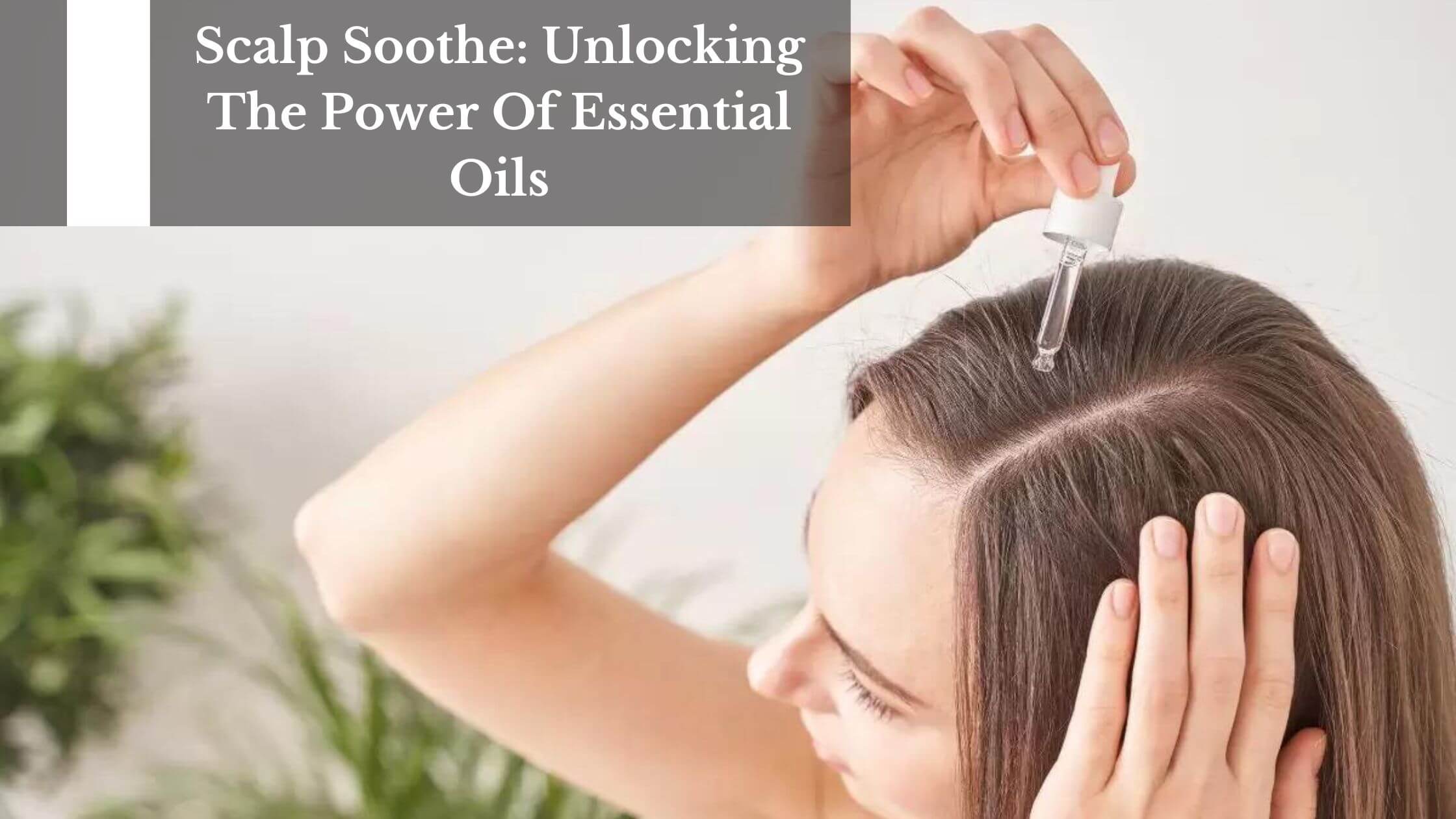 Scalp Soothe: Unlocking The Power Of Essential Oils