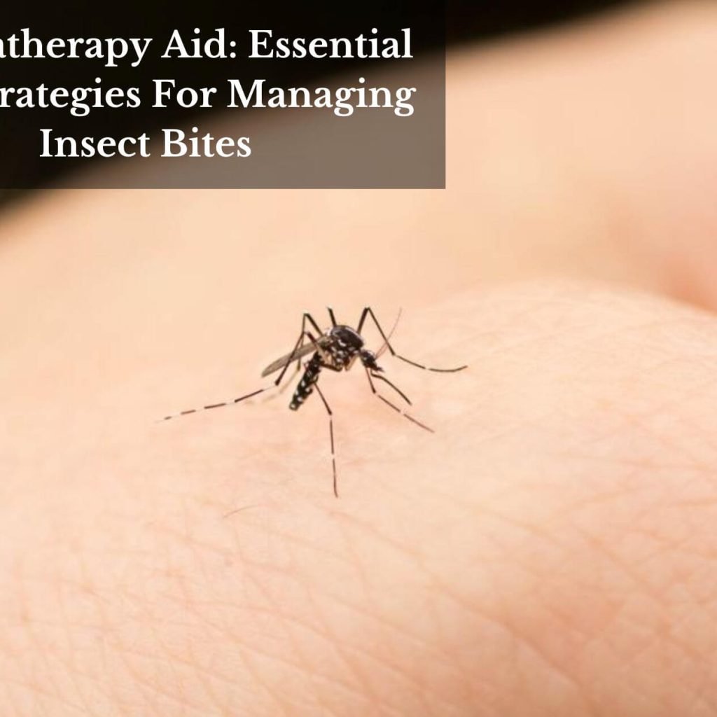 Aromatherapy Aid: Essential Oils Strategies For Managing Insect Bites