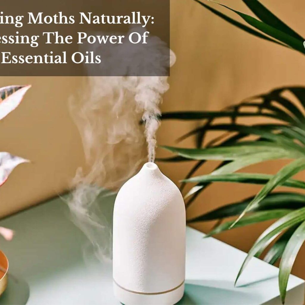 Banishing Moths Naturally: Harnessing The Power Of Essential Oils