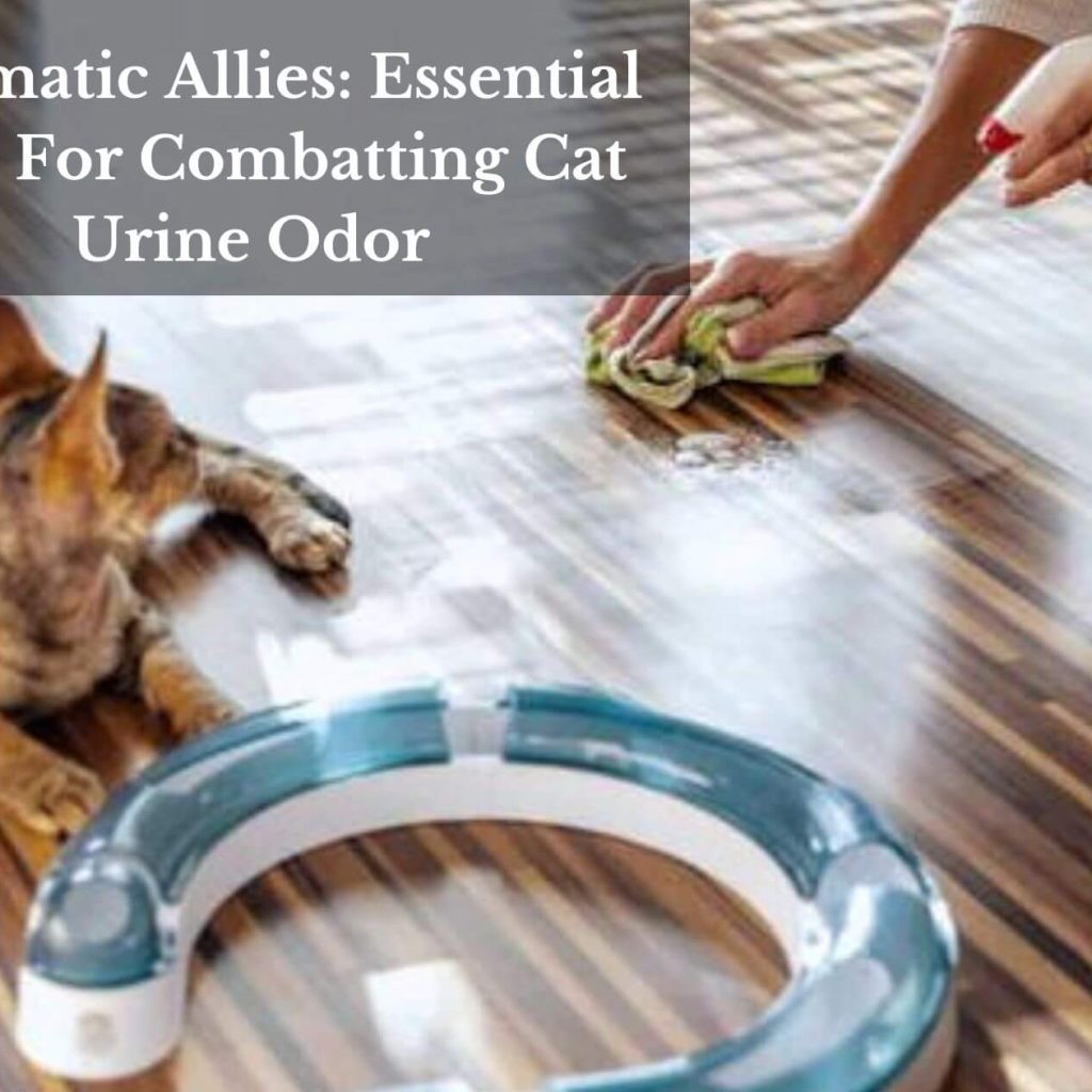 Aromatic Allies: Essential Oils For Combatting Cat Urine Odor