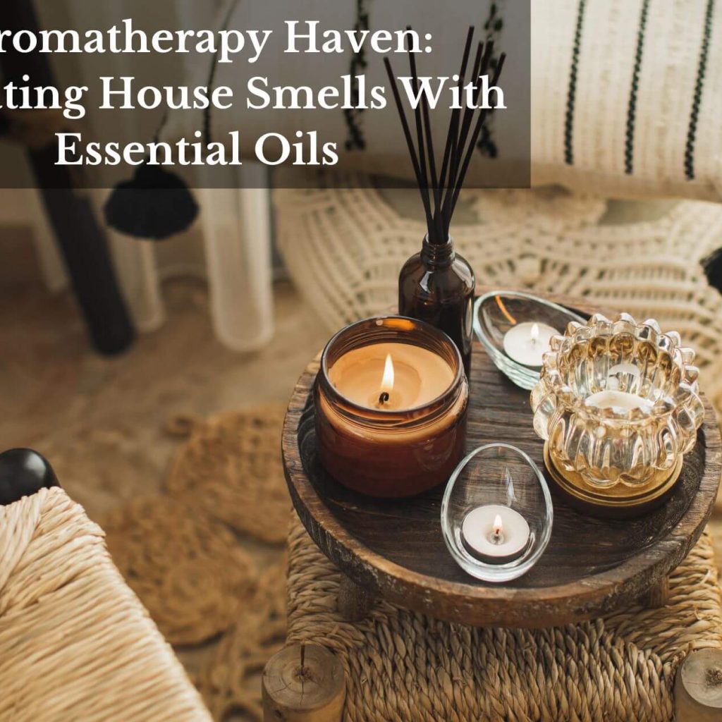 Aromatherapy Haven: Elevating House Smells With Essential Oils