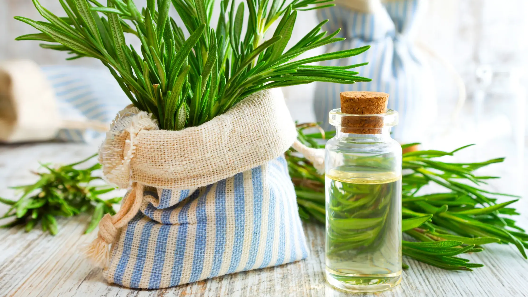 Rosemary Essential Oil For Sore Muscles In Bath
